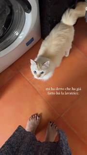 Melita Toniolo feet photo thumbnail