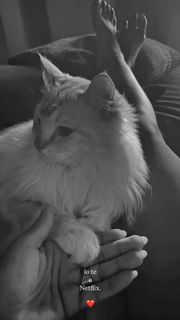 Melita Toniolo feet photo thumbnail