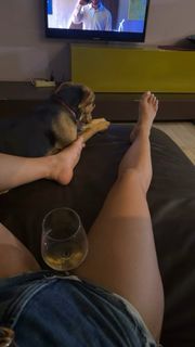Melita Toniolo feet photo 2
