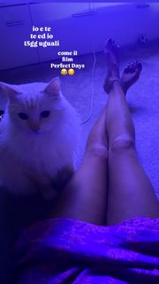 Melita Toniolo feet photo 3