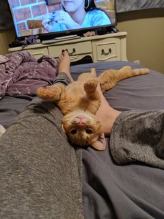 Melonie Mac feet photo thumbnail