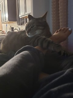 Melonie Mac feet photo thumbnail