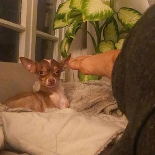 Melyssa Ford feet photo thumbnail