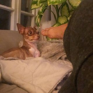 Melyssa Ford feet photo thumbnail