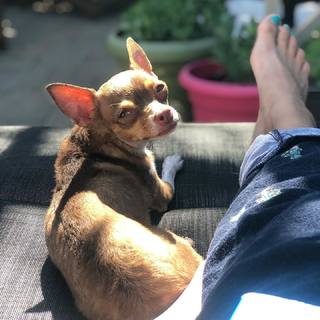 Melyssa Ford feet photo thumbnail