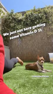 Melyssa Ford feet photo thumbnail