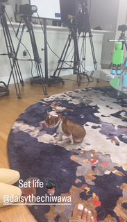 Melyssa Ford feet photo thumbnail