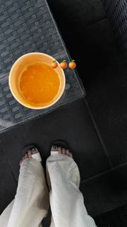 Melyssa Pinto feet photo 3