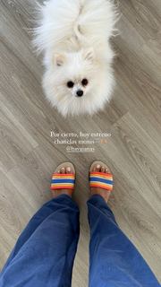 Melyssa Pinto feet photo 19