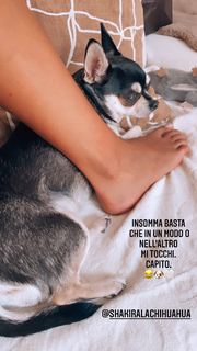 Mercedesz Henger feet photo 14