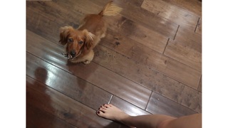 Meredith Foster feet photo 10