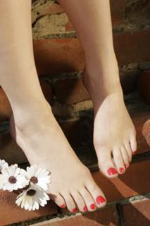 Meredith Molinari feet photo 3