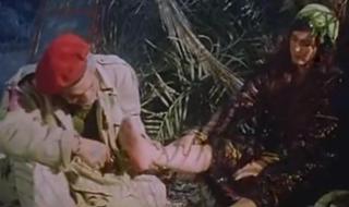 Mervat Amin feet photo thumbnail