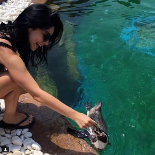 Merve Bolugur feet photo thumbnail