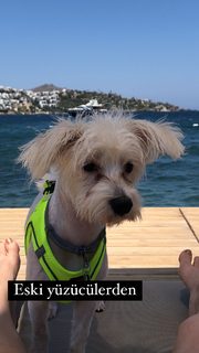 Merve Bolugur feet photo thumbnail