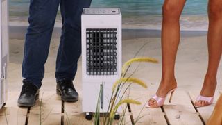 Merve Niemann feet photo thumbnail