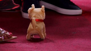 Merve Niemann feet photo thumbnail