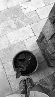 Merve Sevi feet photo 16