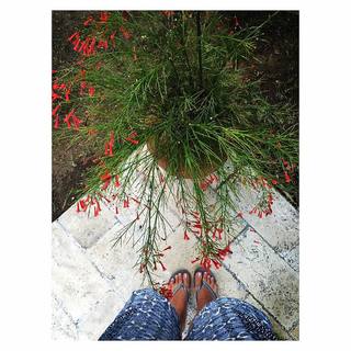 Merve Sevi feet photo 5