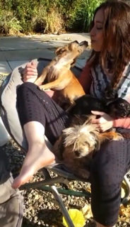 Meytal Cohen feet photo thumbnail