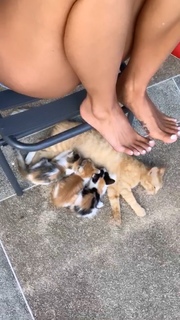 Mia Kang feet photo 10