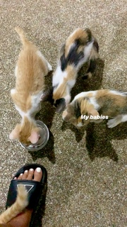 Mia Kang feet photo 19