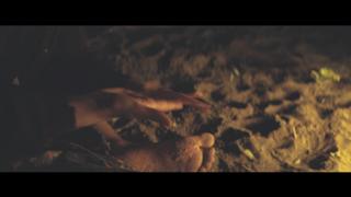 Mia Wasikowska feet photo thumbnail