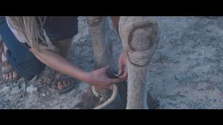 Mia Wasikowska feet photo thumbnail