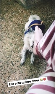 Micaela Suárez feet photo 15