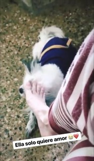 Micaela Suárez feet photo 14