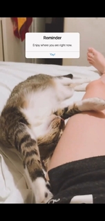 Micaela Suárez feet photo 18