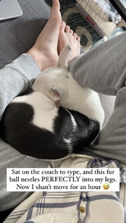 Michaela Jill Murphy feet photo thumbnail