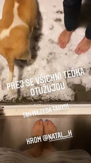 Michaela Tomesová feet photo 7