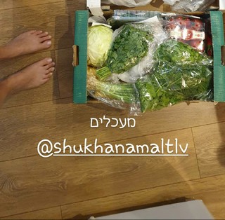 Michal Ansky feet photo 11