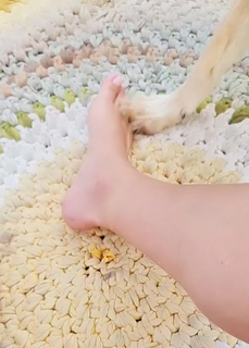 Michal Ansky feet photo 17