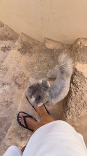 Michela Coppa feet photo thumbnail