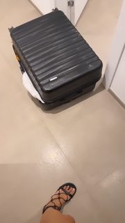 Michela Coppa feet photo thumbnail