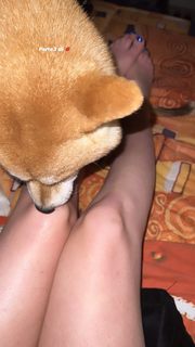 Michela Riganelli feet photo 3