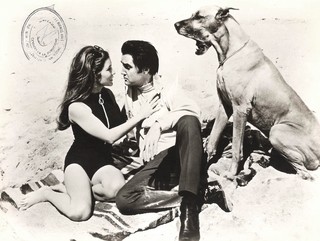 Michele Carey feet photo 12