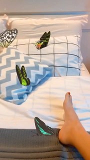 Michelle Batista feet photo 5