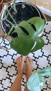 Michelle Batista feet photo 12