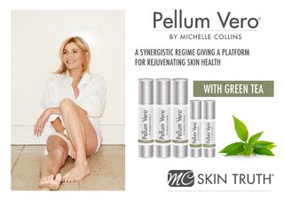 Michelle Collins feet photo 12