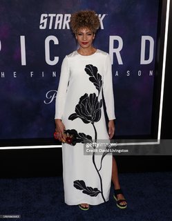 Michelle Hurd feet photo 9