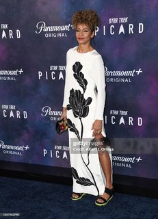 Michelle Hurd feet photo 7