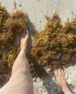 Michelle Miller feet photo 14