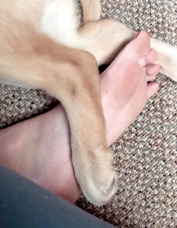 Michelle Mylett feet photo thumbnail