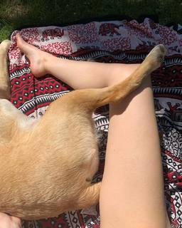 Michelle Mylett feet photo thumbnail