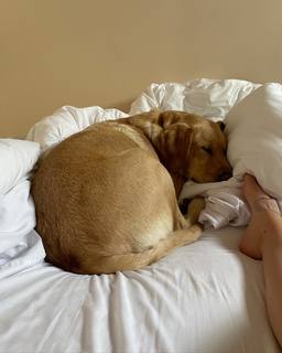 Michelle Mylett feet photo thumbnail