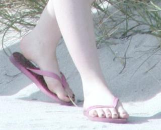 Michelle Trachtenberg feet photo thumbnail
