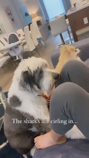 Michelle Wie feet photo thumbnail